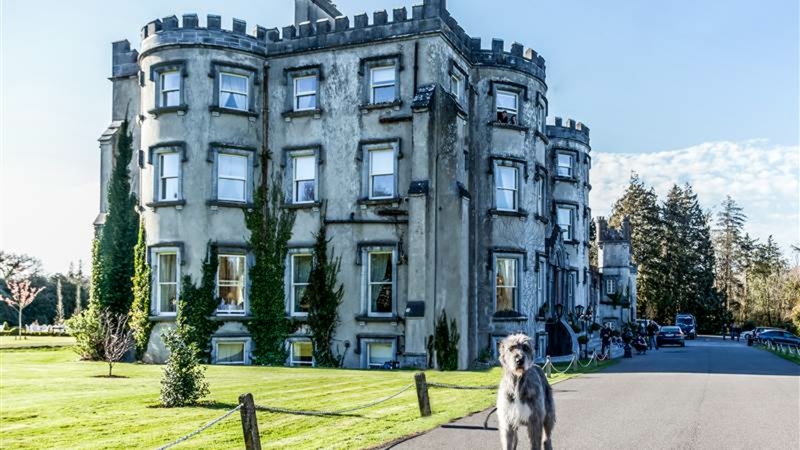 Ballyseede Castle €74