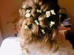 Hair designs by Sharon €200