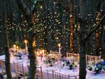 Blue Blossom Creative- Wedding Coordination €1,250