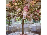 Dream Weddings and Events €299