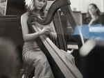 Sinead W Singer/Harpist €330